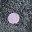 Grey Purple Dot