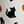 Ivory Cats