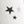 Ivory Stars
