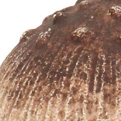 HomeRoots 6" Red And Off White Cast Iron Mushroom Tabletop Sculpture