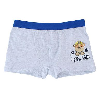 Textiel Trade Boy's Paw Patrol Characters Boxer Briefs (4 Pack)