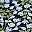 Navy Bloom Floral