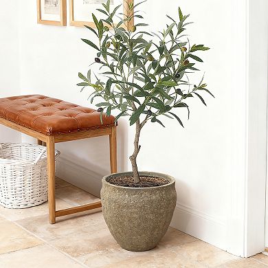 LuxenHome Weathered Earthstone Green Round Planter, Round, Textured Concrete Pot