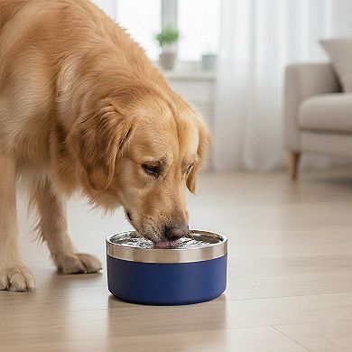 Stainless Steel Dog Bowl with Non-Slip Base and Removable Inner Bowl