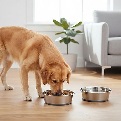 2 Pack Stainless Steel Dog Bowls with Non-Slip Base, Durable Pet Feeding Bowls