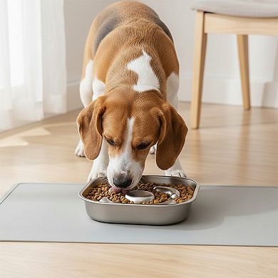 Stainless Steel Slow Feeder Dog Bowl with Raised Center Design and Easy Clean Interior