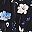Black Floral