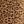 Brown Small Cheetah