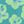 Lime Neon Floral