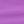 Purple Orchid