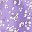 Purple White