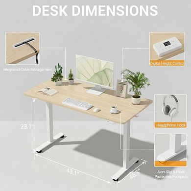 KSIZUIS 55" Electric Standing Desk - 4 Memory Height Settings for Work, Study & Walking Pad
