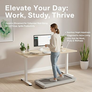 KSIZUIS 55" Electric Standing Desk - 4 Memory Height Settings for Work, Study & Walking Pad