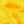 Glod