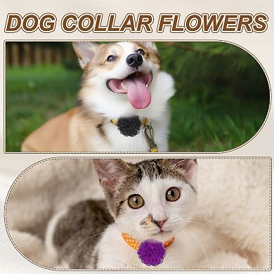 4Pcs Chiffon Pet Collar Bow Tie Floral Grooming Supplies
