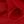 Cherry Red Coral Beige