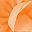 Light Orange