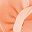 Peach Color