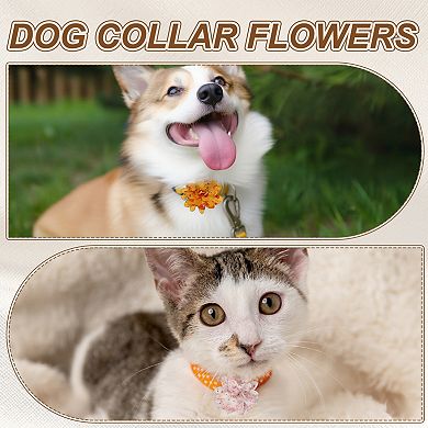 Dog Collar Flowers Soft Chiffon Collar Bow Tie Floral 4Pcs