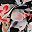 Multi Floral