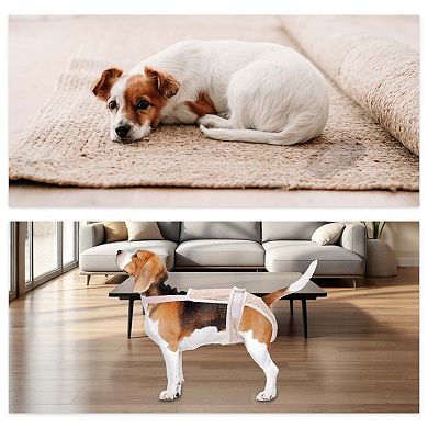 Dog Diapers for Female Dog with Adjustable Suspender 1Pc