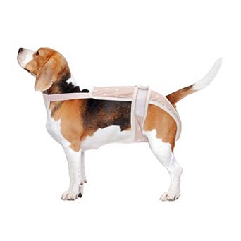 Dog Diapers for Female Dog with Adjustable Suspender 1 pc