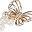 Beige Double Butterfly