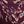 Purplish Red