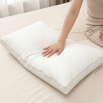 Luxury Hotel Bed Pillow Set of 2 with Down Alternative Filling