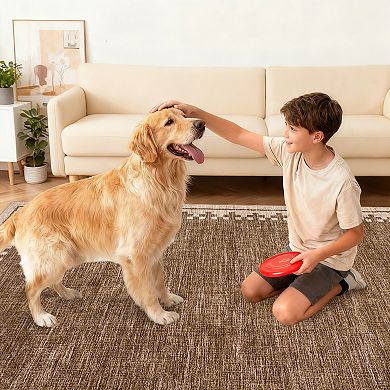 Bordered Machine Washable Rug Low-Pile Non-Slip Stain Resistant Soft Carpet Foldable Floor Cover