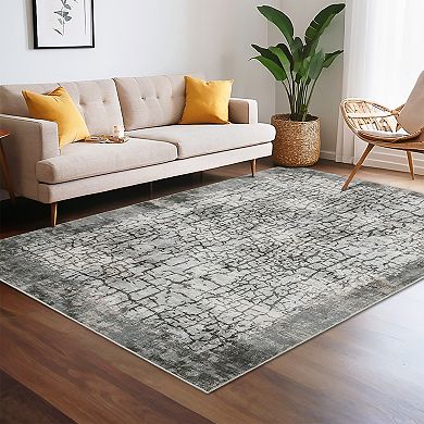 Washable Stain Resistant Abstract Area Rug for Hallway Non Slip Non Shedding Carpet