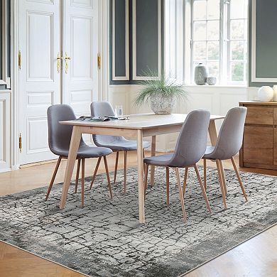 Washable Stain Resistant Abstract Area Rug for Hallway Non Slip Non Shedding Carpet