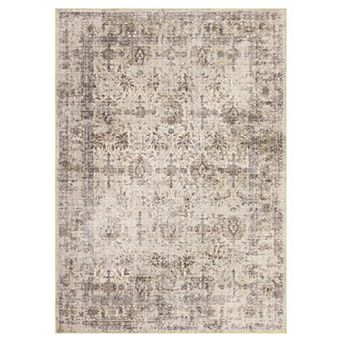 Vintage Distressed Washable Area Rug Non Slip Low Pile Soft Carpet for Living Room Bedroom