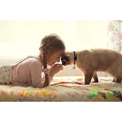 Adjustable Kitty Collar Pack