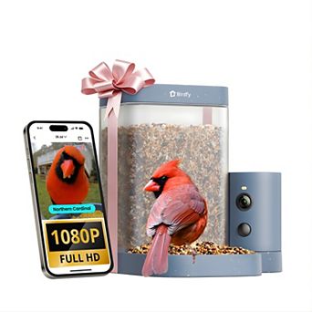 Birdfy Lightweight First Bird Feeder