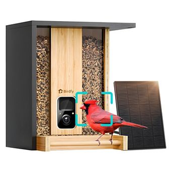 Birdfy Bamboo Solar-Powered Smart Bird Feeder with Camera