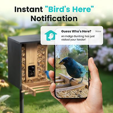 Birdfy Bamboo Solar-Powered Smart Bird Feeder with Camera