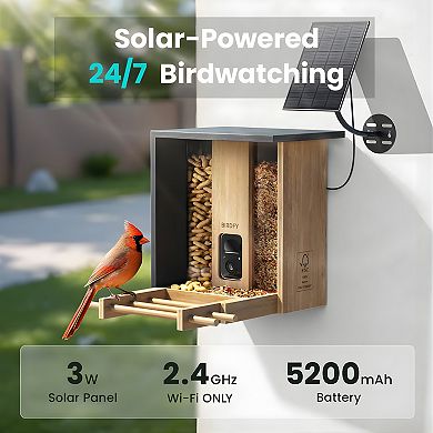 Birdfy Bamboo Solar-Powered Smart Bird Feeder with Camera