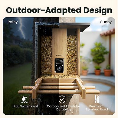 Birdfy Bamboo Solar-Powered Smart Bird Feeder with Camera