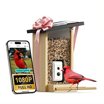 Birdfy Wooden Smart Bird Feeder