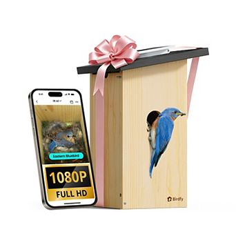 Birdfy Solar Powered Smart Bird House With Camera