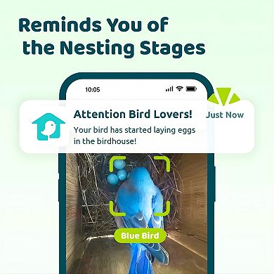 Birdfy Solar Powered Smart Bird House With Camera