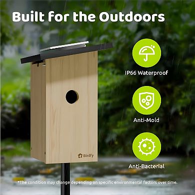 Birdfy Solar Powered Smart Bird House With Camera