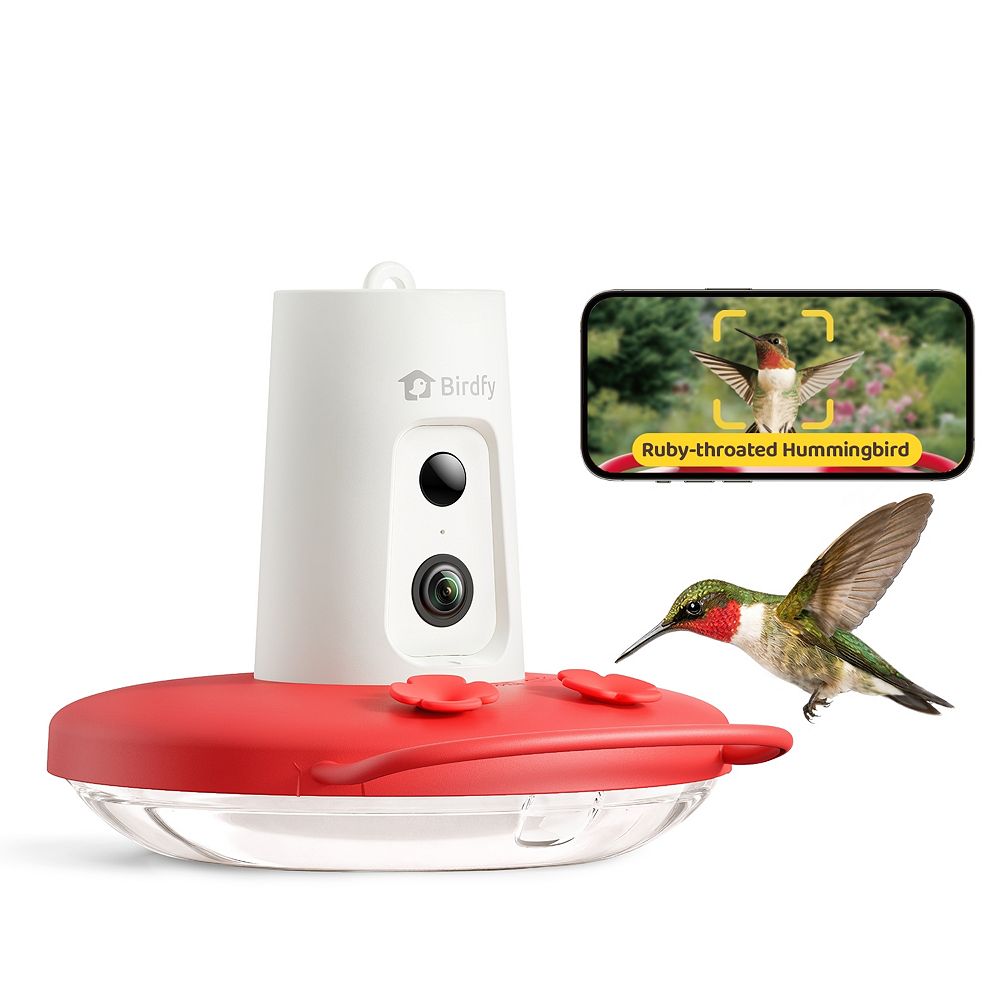 Birdfy Hummingbird Feeder with Camera