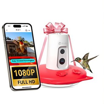 Birdfy Hummingbird Feeder with Camera