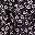 Navy Ivory Floral