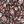 Brown Pink Floral