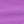 Purple Orchid
