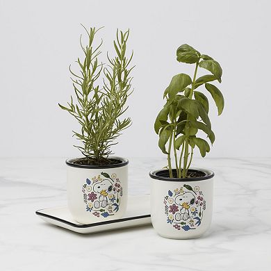 Lenox Chef Snoopy 3-Pack Herb Pots