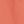 Fiery Coral